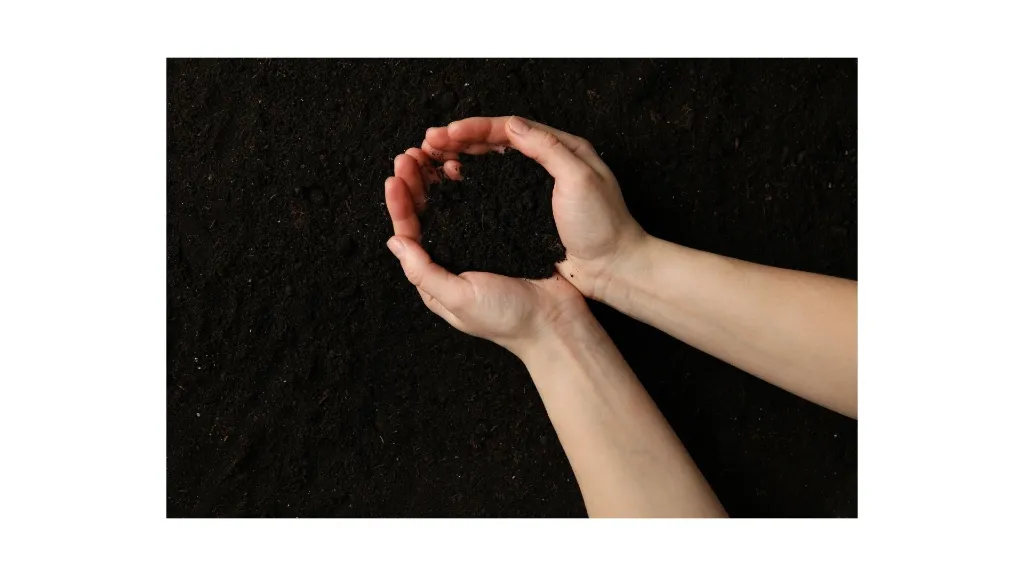Afbeeldingen project teelaarde(9)_handvol zwarte grond.webp