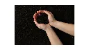 Afbeeldingen project teelaarde(9)_handvol zwarte grond.webp
